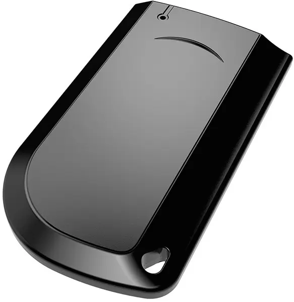 Автосигнализация Pandora VX 4G GPS v2- фото